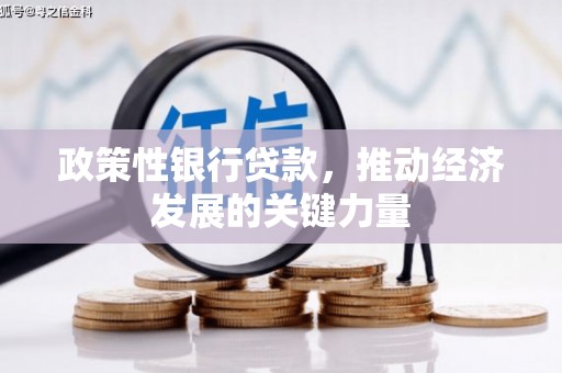 城中政策性银行贷款，推动经济发展的关键力量