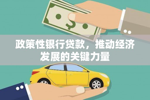 城中政策性银行贷款，推动经济发展的关键力量
