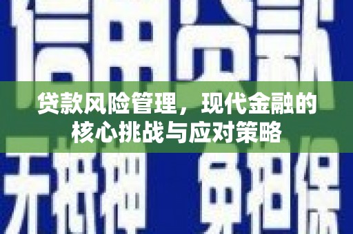 城中贷款风险管理，现代金融的核心挑战与应对策略