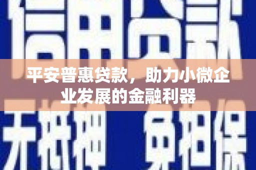 城中平安普惠贷款，助力小微企业发展的金融利器