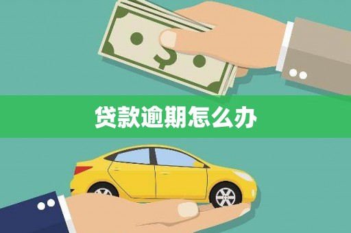 城中贷款逾期怎么办