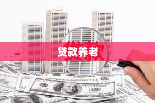 城中贷款养老