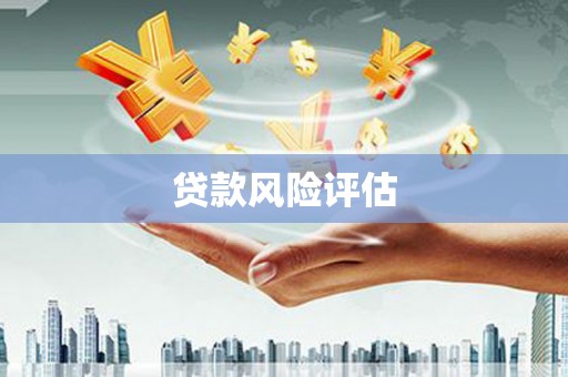 城中贷款风险评估