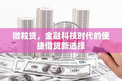 城中微粒贷，金融科技时代的便捷借贷新选择