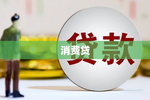 城中消费贷