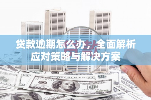 城中贷款逾期怎么办，全面解析应对策略与解决方案