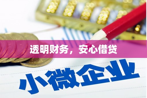 城中透明财务，安心借贷