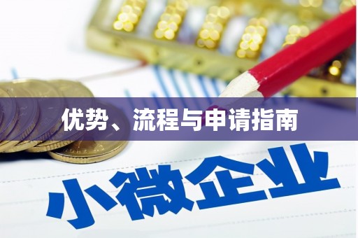 城中优势、流程与申请指南