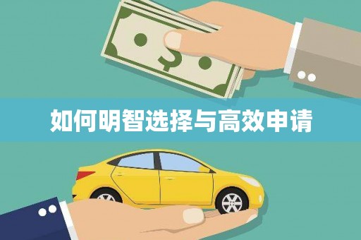 城中如何明智选择与高效申请