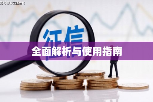 城中全面解析与使用指南