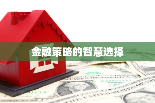 城中金融策略的智慧选择