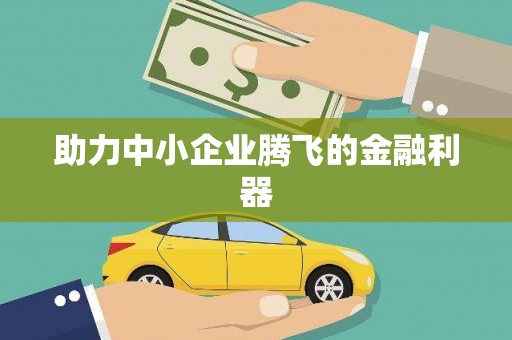 城中助力中小企业腾飞的金融利器