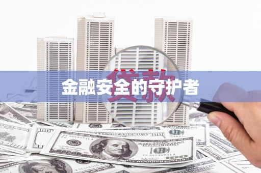 城中金融安全的守护者
