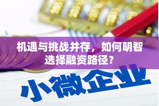 城中机遇与挑战并存，如何明智选择融资路径？