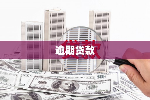 城中逾期贷款