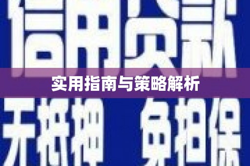 城中实用指南与策略解析