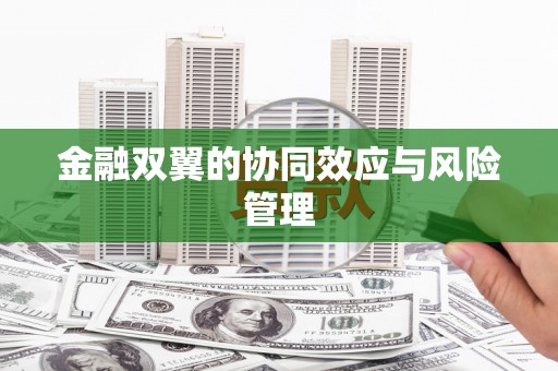 城中金融双翼的协同效应与风险管理