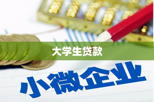 城中大学生贷款