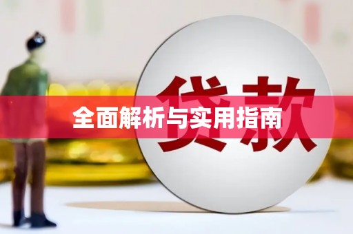 城中全面解析与实用指南