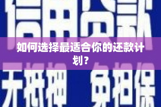 城中如何选择最适合你的还款计划？