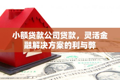 城中小额贷款公司贷款，灵活金融解决方案的利与弊