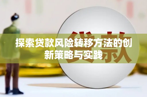 城中探索贷款风险转移方法的创新策略与实践