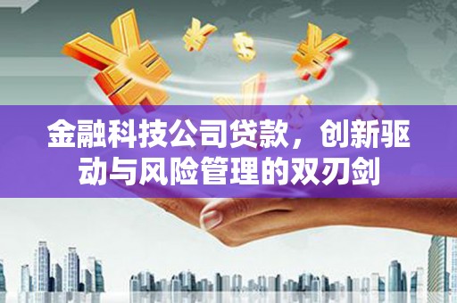 城中金融科技公司贷款，创新驱动与风险管理的双刃剑