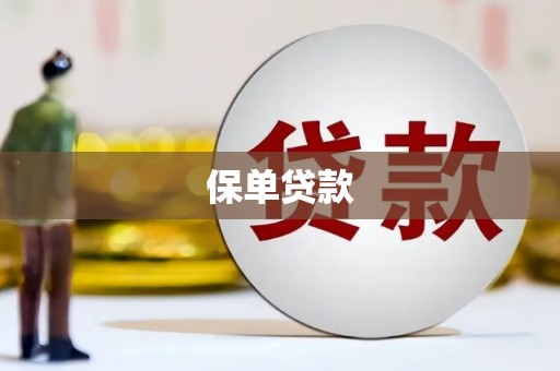 城中保单贷款